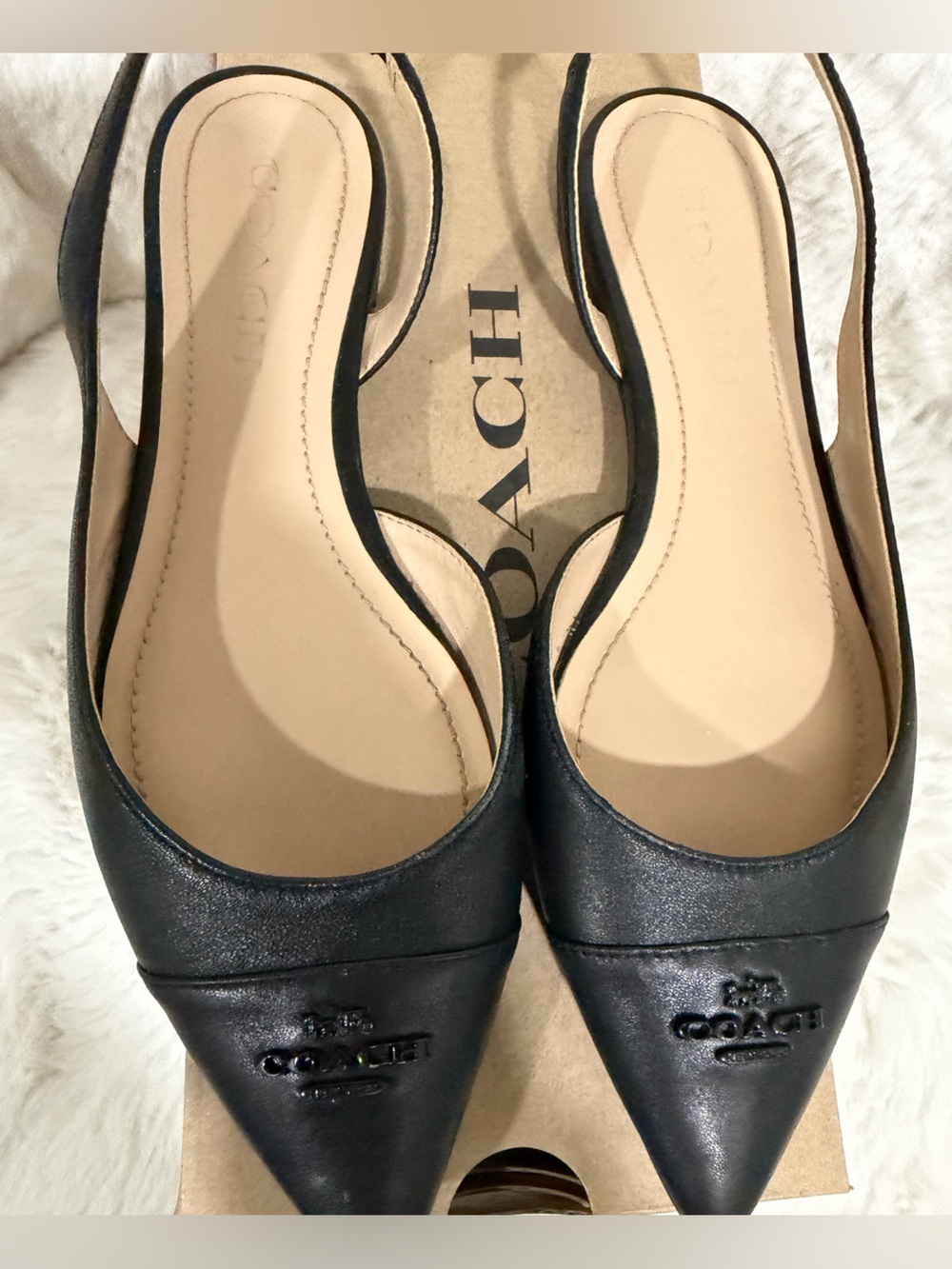 Coach Black Leather Pointed Toe Flats